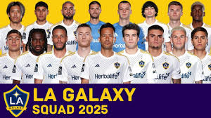 LA Galaxy: Stars of American Soccer